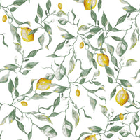 Mediterranean Citrus Grove Illustration Wallpaper⁠