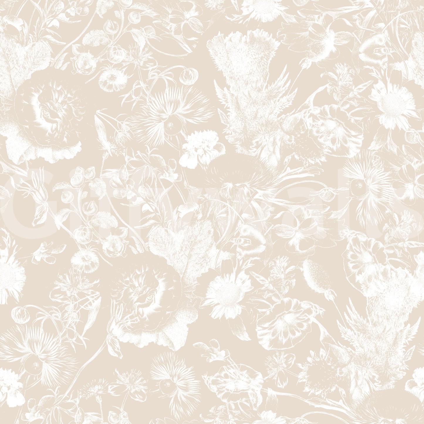 Cream Botanical Line Art Wallpaper⁠