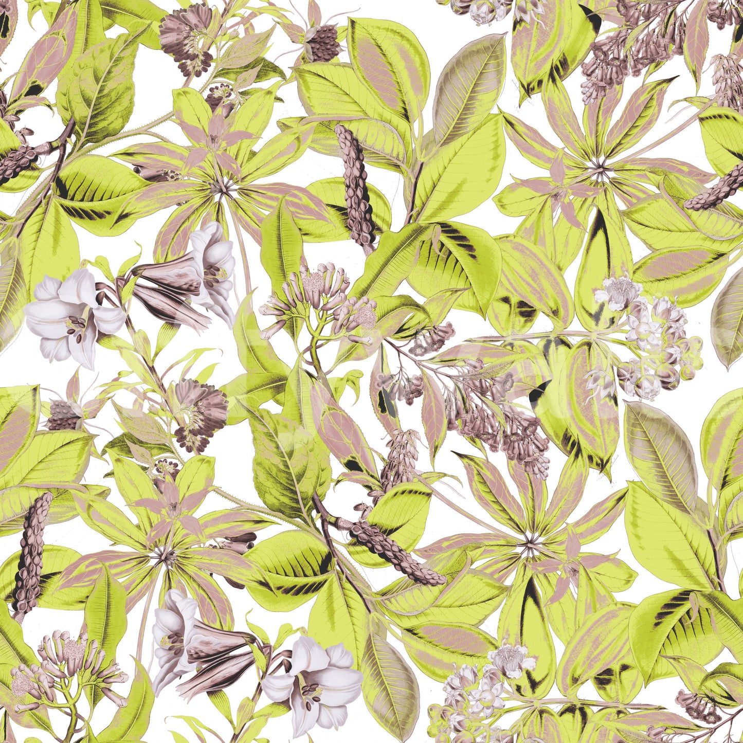 Lush Botanical Garden Foliage Wallpaper⁠