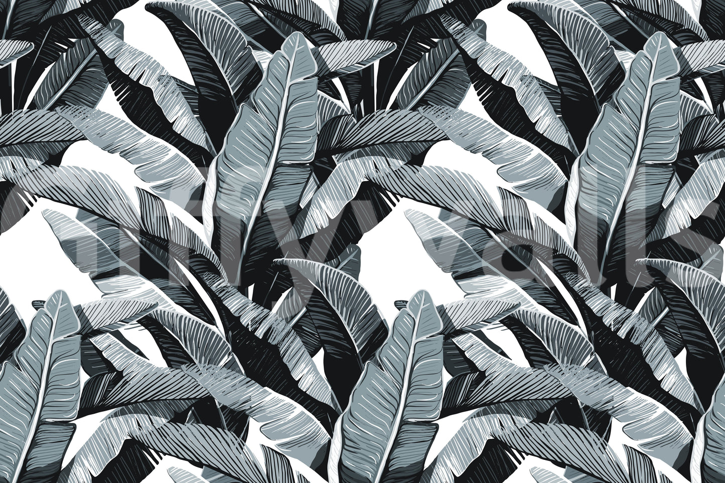 Monochrome Tropical Palm Fronds Wallpaper⁠