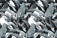 Monochrome Tropical Palm Fronds Wallpaper⁠