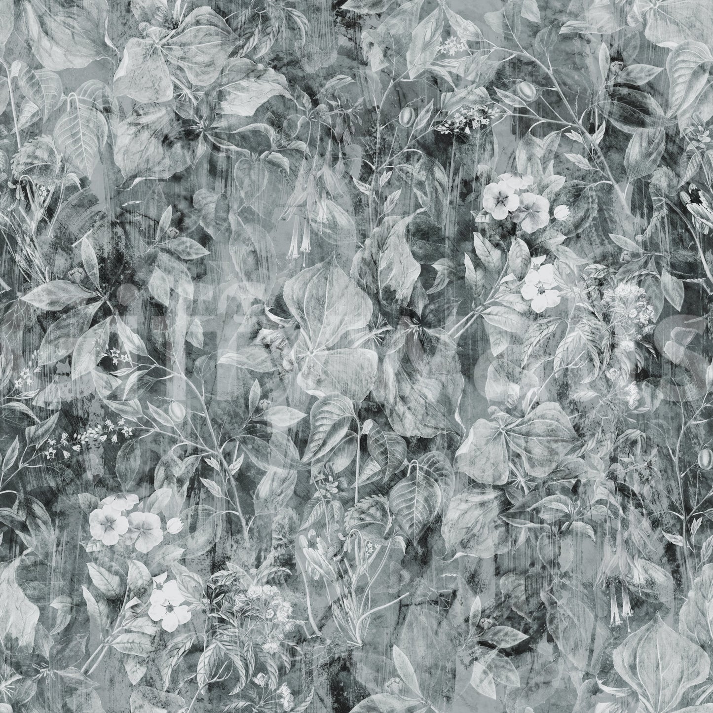 Monochrome Botanical Shadow Wallpaper⁠