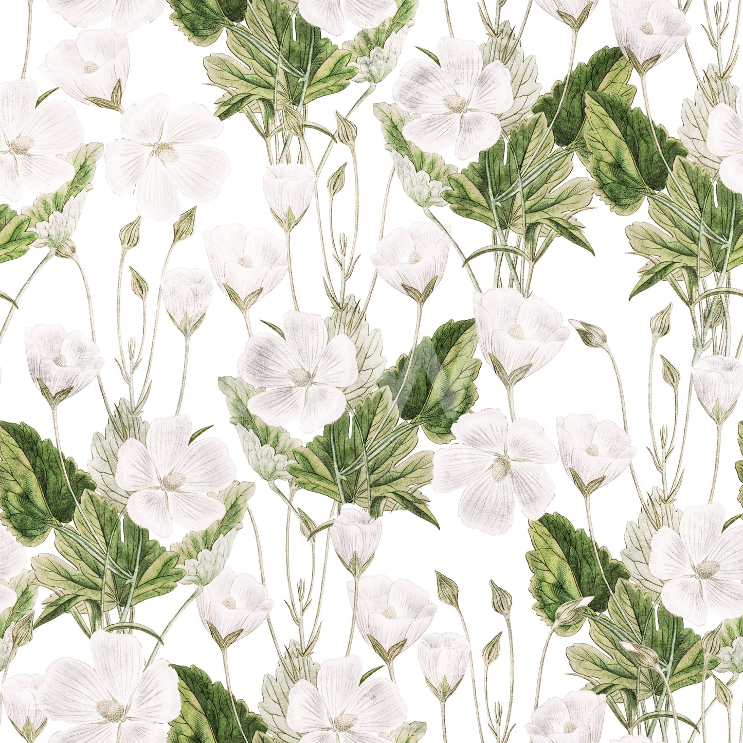 Botanical Meadow Sketch Wallpaper⁠