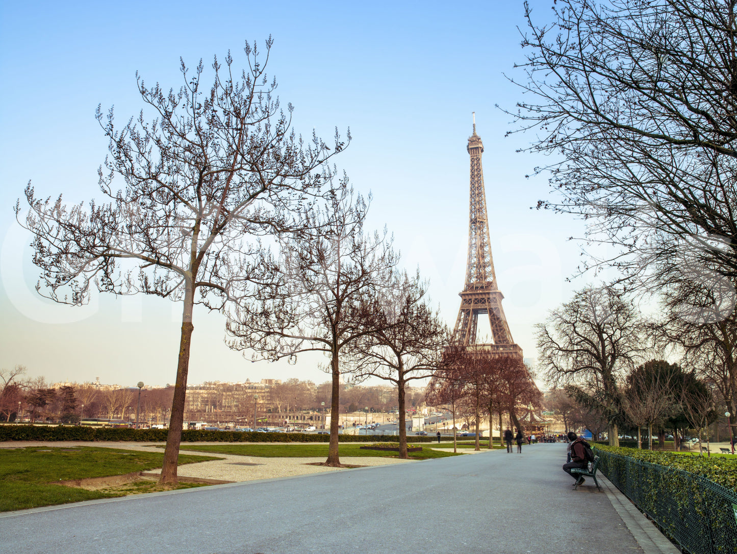 Parisian Morning Pathway Wallpaper⁠