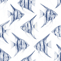 Origon The FIsh Wallpaper⁠