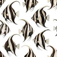 Spade The Fish 01 Wallpaper⁠
