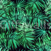 Close-up of the dark green tropical palm canopy leaf design GD12296