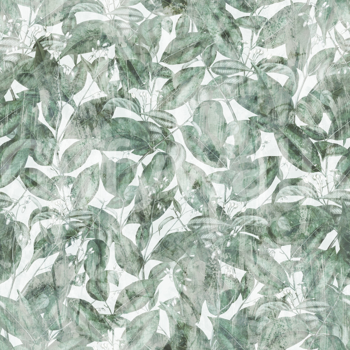 Flat swatch of green misty forest leaf canopy wallpaper with soft watercolour foliage GD12325