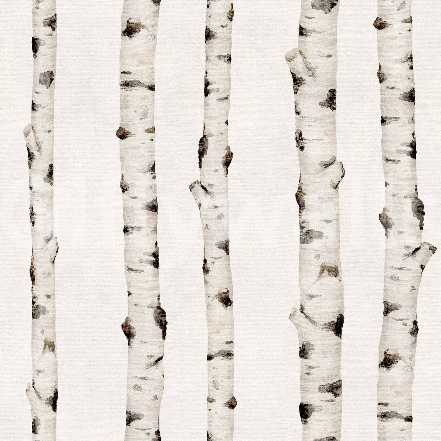 Rustic Birch Forest Vertical Trunks Wallpaper⁠