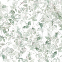 Ethereal Forest Vine Wallpaper⁠