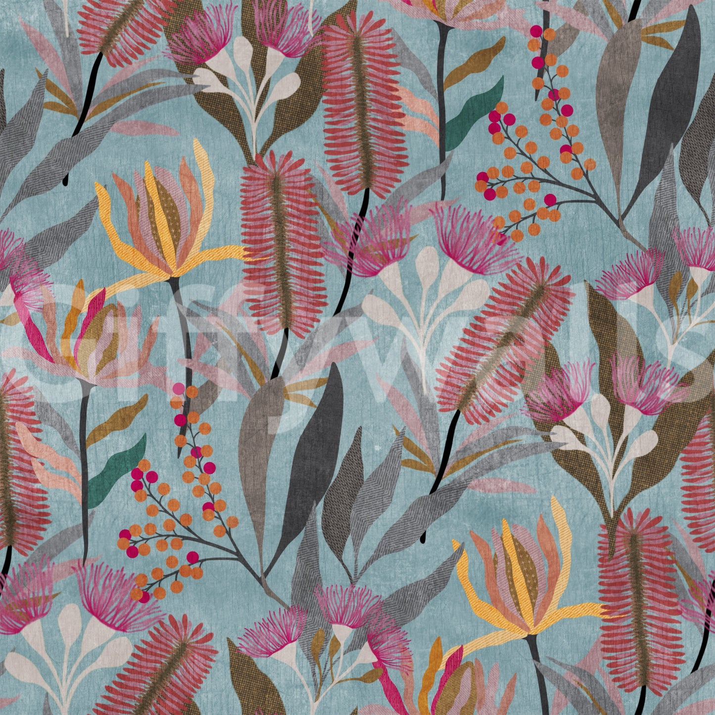 Australian Wildflower Meadow Blue Wallpaper⁠