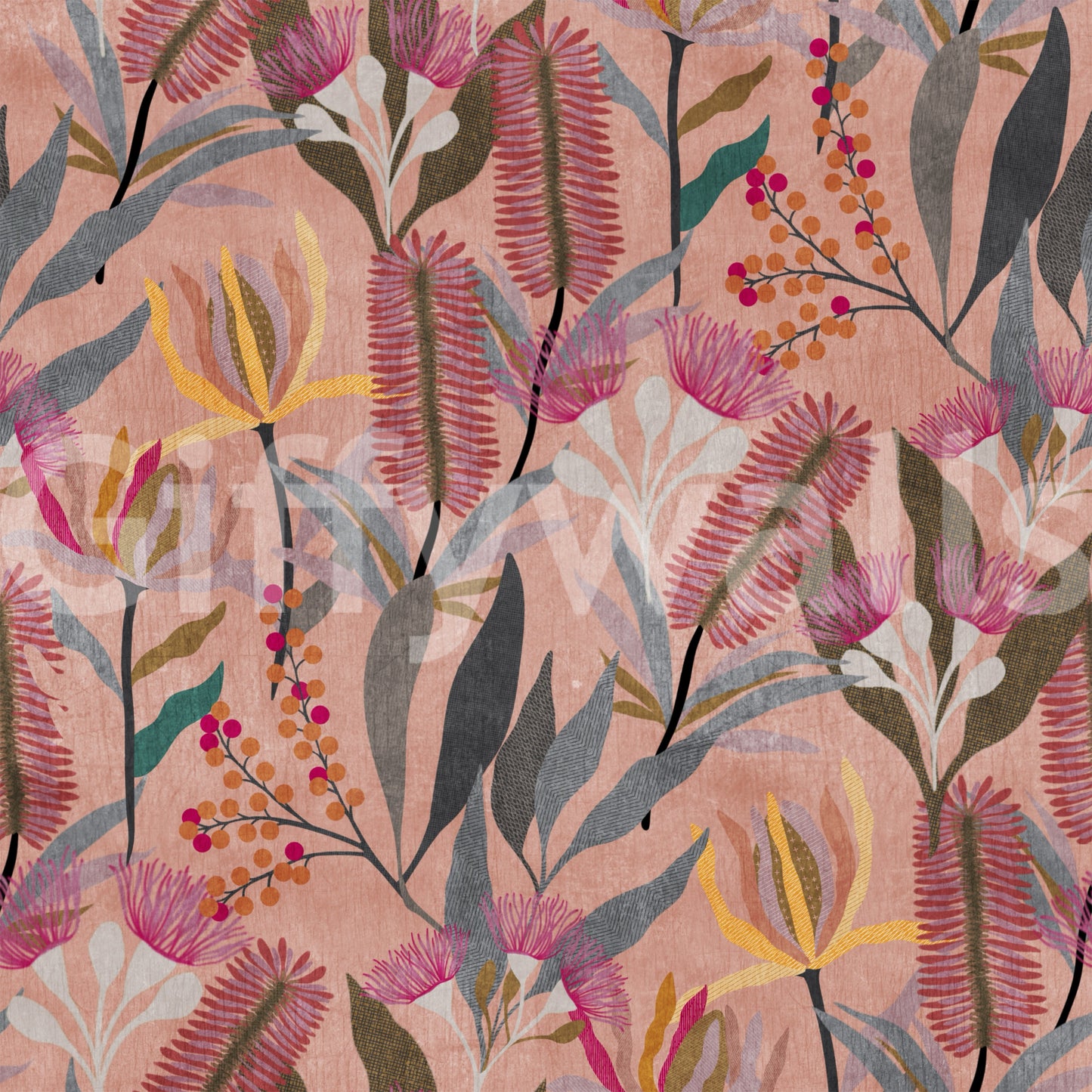 Australian Native Bloom Botanical Wallpaper⁠
