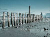 Minimalist Maritime Beach Scenery Wall Mural