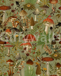 Vintage Woodland Mushroom and Fern Forage Wallpaper⁠