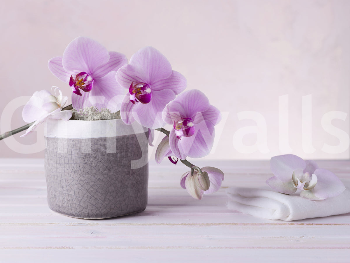Minimalist Orchid Still Life Wall Mural