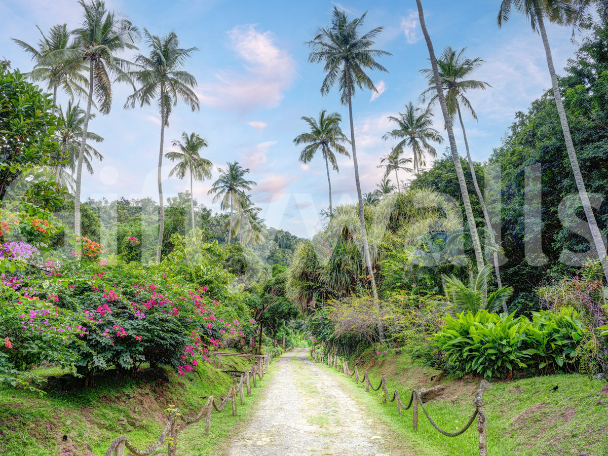 Sun-Drenched Garden Trail Wall Mural