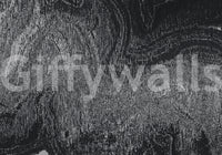 Industrial Gray Concrete Texture Wall Mural