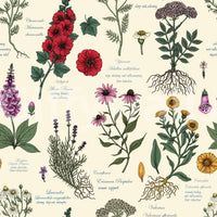 Vintage Botanical Herbarium Study Wallpaper⁠