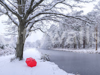 Frozen Canal Winter Woodland Wall Mural