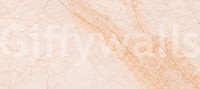 Soft Peach Marble Stone Wall Mural