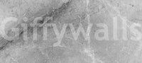 Monochromatic Grey Marble Slab Wall Mural