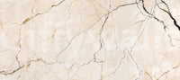 Cream and Charcoal Vein Stone Wall Mural
