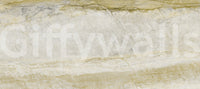 Golden Vein Marble Slab Wall Mural