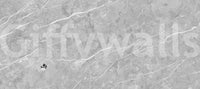 Classic Grey Marble Vein Wall Mural
