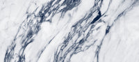 Monochrome Marble Vein Texture Wall Mural