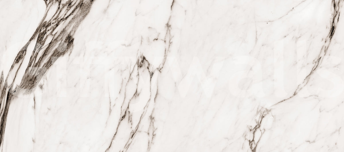Monochrome Marble Veining Wall Mural