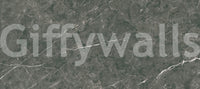 Dark Charcoal Marble Vein Wall Mural