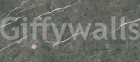 Charcoal Stone Vein Texture Wall Mural