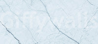Ethereal Pale Marble Vein Wall Mural