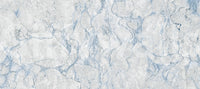 Ethereal Blue Veined Marble Texture Wall Mural