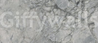 Cool Grey Marble Slab Wall Mural