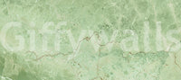 Sage Marble Vein Texture Wall Mural