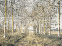 Rustic Forest Corridor Wall Mural