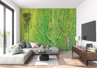 Textured sage green paint living room mural with organic cracking patterns.