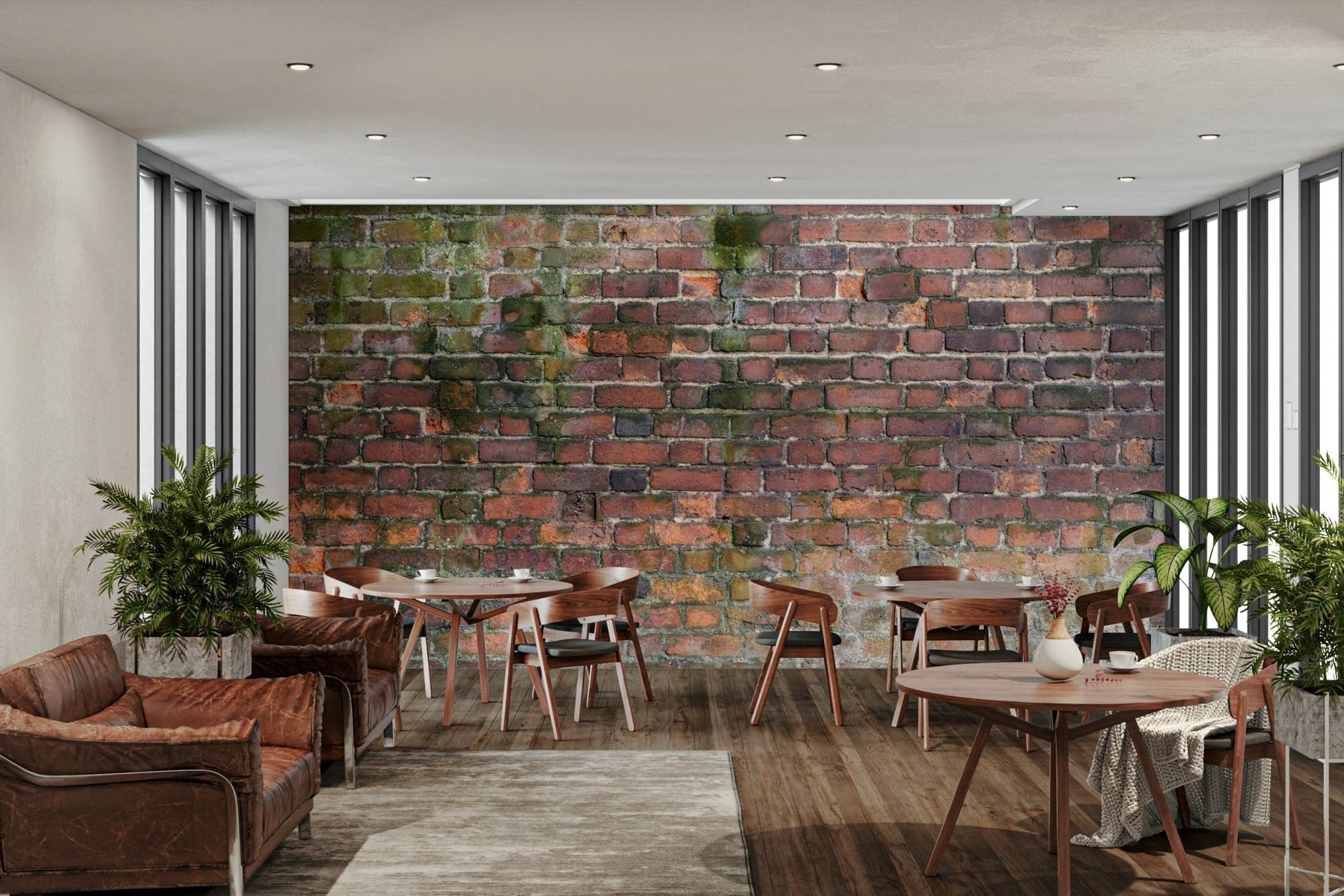 Exposed plaster or faded concrete.

