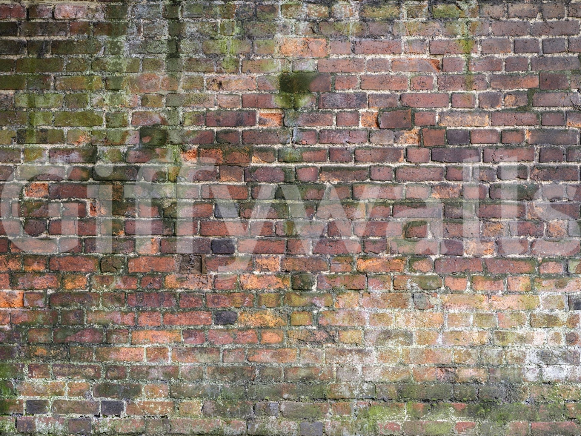 Great for accent walls.

