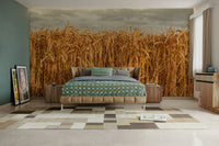 Natural wheat field mural

