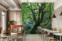 Motion blur forest wall wallpaper
