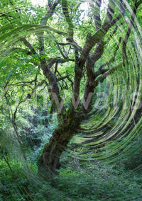 Eclectic abstract mural wallpaper
