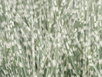 The texture appears realistic, like a high-quality photographic print.
