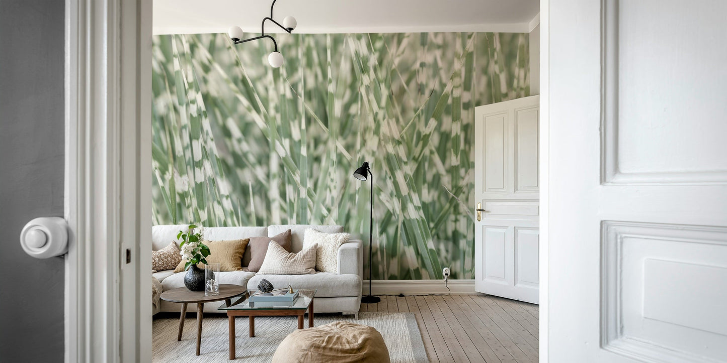 The design evokes a sense of peace, natural beauty, and serenity.
