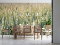 A minimalist wheat field wallpaper with delicate golden grains swaying gracefully.