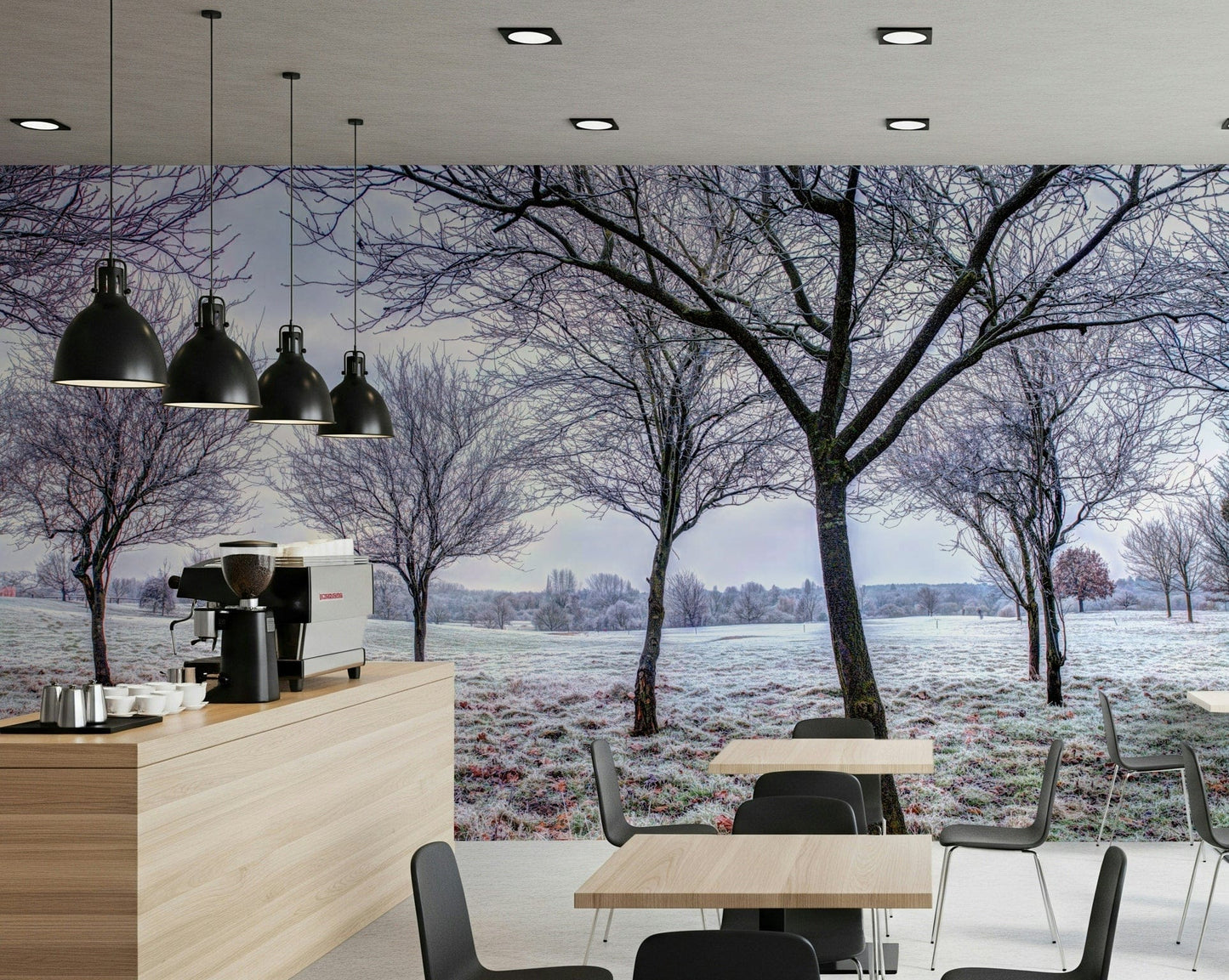 Quiet frozen field, natural pattern, Whispering Winter Fields mural.