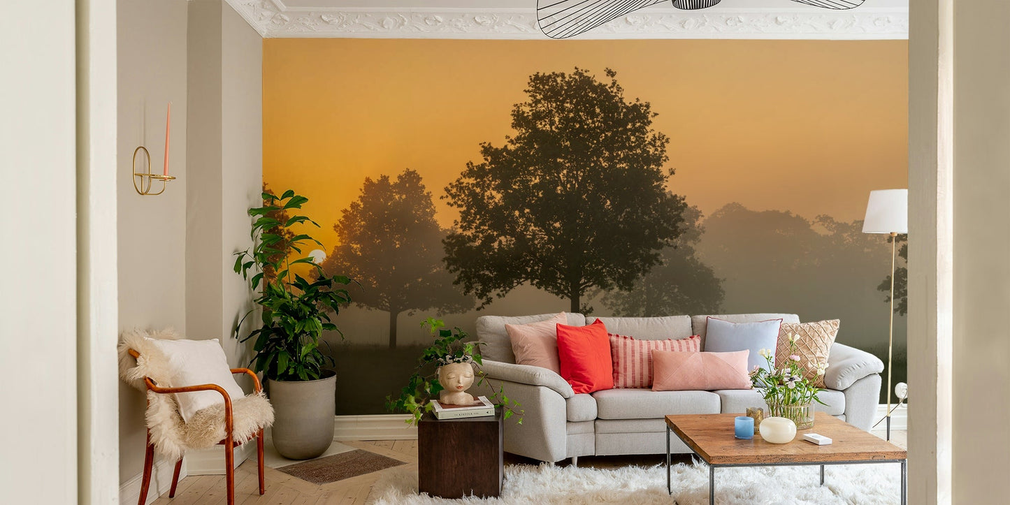 Whispers of Dawn wall mural

