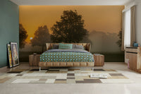 Gentle sunrise wall mural

