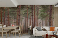 A high-resolution wall mural of a serene, soft-focus forest scene.

